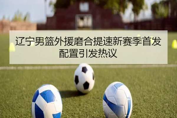 辽宁男篮外援磨合提速新赛季首发配置引发热议 | MKSPORTS